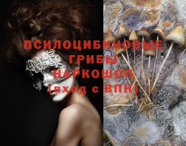 а пвп мука Абдулино
