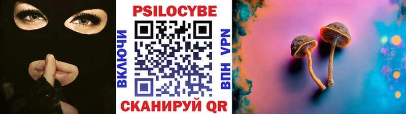 Псилоцибиновые грибы мицелий гидра онион Сафоново даркнет сайт